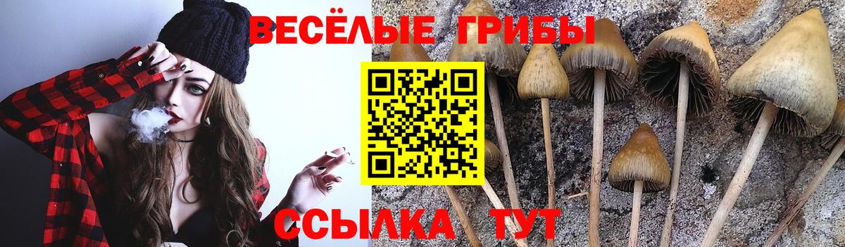 Галлюциногенные грибы мицелий  Псилоцибиновые грибы мицелий  Вход с VPN  Россошь 