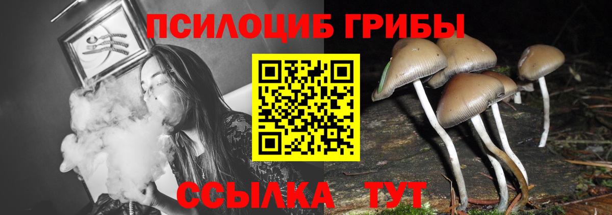 Гашиш  МЕФ   Экстази  Каннабис  Мефедрон  Купить  Россошь  Вход с VPN 